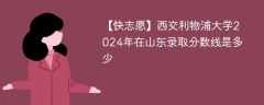 西交利物浦大学2024年在山东录取分数线是多少（2023~2021近三年分数位次）