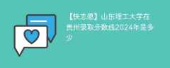 山东理工大学在贵州录取分数线2024年是多少（2023~2021近三年分数位次）