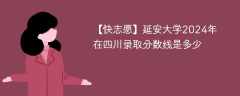 延安大学2024年在四川录取分数线是多少（2024~2022近三年分数位次）