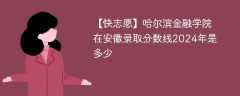 哈尔滨金融学院在安徽录取分数线2024年是多少（2024~2022近三年分数位次）