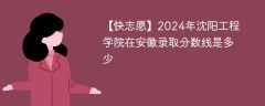 2024年沈阳工程学院在安徽录取分数线是多少（2023~2021近三年分数位次）