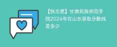 甘肃民族师范学院2024年在山东录取分数线是多少（2023~2021近三年分数位次）