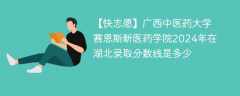 广西中医药大学赛恩斯新医药学院2024年在湖北录取分数线是多少（2024~2022近三年分数位次）