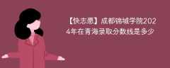 成都锦城学院2024年在青海录取分数线是多少（2024~2022近三年分数位次）