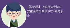 上海杉达学院在安徽录取分数线2024年是多少（2024~2022近三年分数位次）