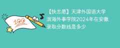 天津外国语大学滨海外事学院2024年在安徽录取分数线是多少（2023~2021近三年分数位次）