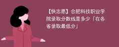 2023合肥科技职业学院录取分数线是多少「在各省录取最低分」