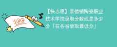 景德镇陶瓷职业技术学院录取分数线2023是多少分「在各省录取最低分」