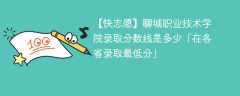 2023聊城职业技术学院录取分数线是多少「在各省录取最低分」