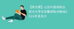 山东外国语职业技术大学在安徽录取分数线2024年是多少（2023~2021近三年分数位次）