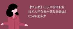 山东外国语职业技术大学在贵州录取分数线2024年是多少（2023~2021近三年分数位次）