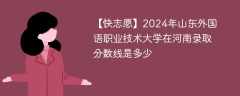 2024年山东外国语职业技术大学在河南录取分数线是多少（2023~2021近三年分数位次）