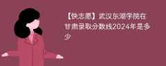 武汉东湖学院在甘肃录取分数线2024年是多少（2024~2022近三年分数位次）