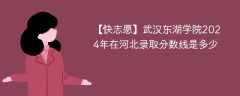 武汉东湖学院2024年在河北录取分数线是多少（2023~2021近三年分数位次）