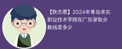 2024年青岛求实职业技术学院在广东录取分数线是多少（2023~2021近三年分数位次）