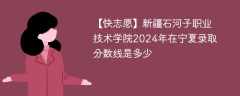 新疆石河子职业技术学院2024年在宁夏录取分数线是多少（2023~2021近三年分数位次）