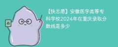 安徽医学高等专科学校2024年在重庆录取分数线是多少（2024~2022近三年分数位次）