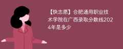 合肥通用职业技术学院在广西录取分数线2024年是多少（2024~2022近三年分数位次）