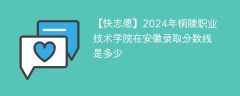 2024年铜陵职业技术学院在安徽录取分数线是多少（2024~2022近三年分数位次）