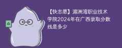 湄洲湾职业技术学院2024年在广西录取分数线是多少（2023~2021近三年分数位次）