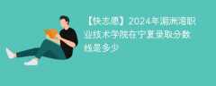 2024年湄洲湾职业技术学院在宁夏录取分数线是多少（2024~2022近三年分数位次）