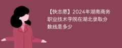 2024年湖南商务职业技术学院在湖北录取分数线是多少（2024~2022近三年分数位次）