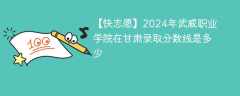 2024年武威职业学院在甘肃录取分数线是多少（2024~2022近三年分数位次）