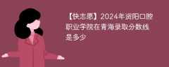 2024年资阳口腔职业学院在青海录取分数线是多少（2023~2021近三年分数位次）