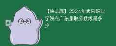 2024年武昌职业学院在广东录取分数线是多少（2023~2021近三年分数位次）