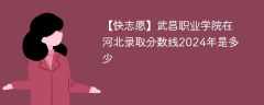 武昌职业学院在河北录取分数线2024年是多少（2024~2022近三年分数位次）