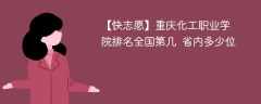 重庆化工职业学院排名全国第几 省内多少位（2024最新）