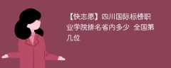 四川国际标榜职业学院排名省内多少 全国第几位（2024最新）