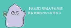 聊城大学在陕西录取分数线2024年是多少（2024~2022近三年分数位次）