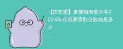 景德镇陶瓷大学2024年在湖南录取分数线是多少（2024~2022近三年分数位次）