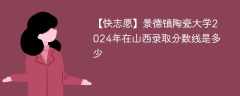 景德镇陶瓷大学2024年在山西录取分数线是多少（2024~2022近三年分数位次）