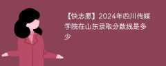 2024年四川传媒学院在山东录取分数线是多少（2024~2022近三年分数位次）