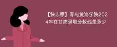 青岛黄海学院2024年在甘肃录取分数线是多少（2024~2022近三年分数位次）
