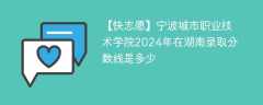 宁波城市职业技术学院2024年在湖南录取分数线是多少（2024~2022近三年分数位次）