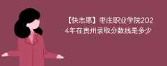 枣庄职业学院2024年在贵州录取分数线是多少（2023~2021近三年分数位次）