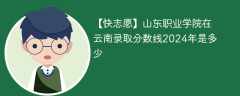 山东职业学院在云南录取分数线2024年是多少（2024~2022近三年分数位次）
