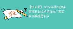 2024年青岛酒店管理职业技术学院在广西录取分数线是多少（2024~2022近三年分数位次）