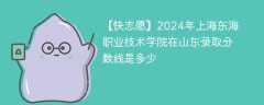 2024年上海东海职业技术学院在山东录取分数线是多少（2024~2022近三年分数位次）