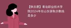 青岛职业技术学院2024年在山东录取分数线是多少（2024~2022近三年分数位次）