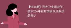 萍乡卫生职业学院2024年在甘肃录取分数线是多少（2023~2021近三年分数位次）