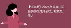 2024年武夷山职业学院在贵州录取分数线是多少（2023~2021近三年分数位次）