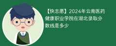 2024年云南医药健康职业学院在湖北录取分数线是多少（2024~2022近三年分数位次）