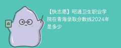 昭通卫生职业学院在青海录取分数线2024年是多少（2024~2022近三年分数位次）