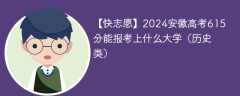 2024安徽高考615分能报考上什么大学（历史类）