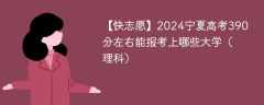 2024宁夏高考390分左右能报考上哪些大学（理科）