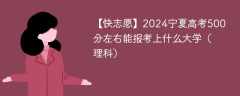 2024宁夏高考500分左右能报考上什么大学（理科）